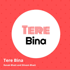 Tere Bina