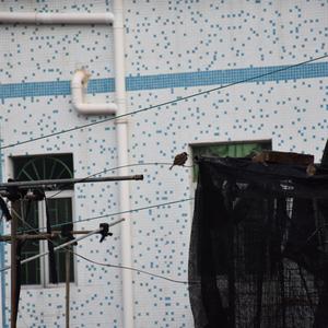 我要如何遇见你