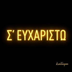 Σ ´ευχαριστώ