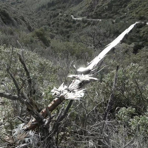 一元一串的钵钵鸡