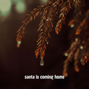 santa is coming home