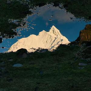 梦的翅膀受了伤