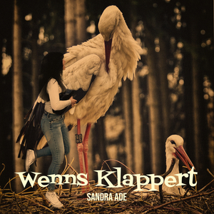 Wenns Klappert