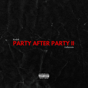 Party After Party Il (Remix)