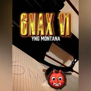EL 6NAX V1