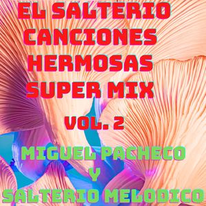 Super Mix El Salterio Canciones Hermosas, Vol. 2