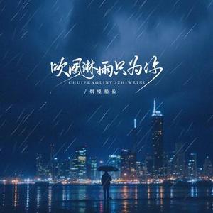 吹风淋雨只为你