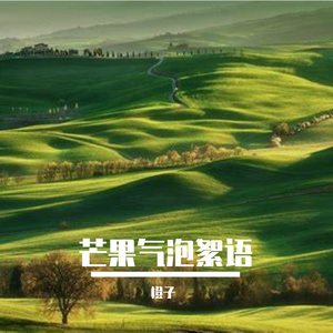 芒果气泡絮语