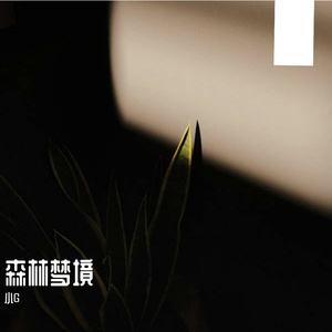 灵动琴音燃动旅行