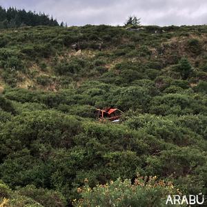 We're all Going Down Together