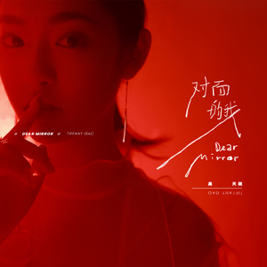对面的我