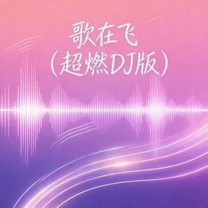 歌在飞（超燃DJ版）
