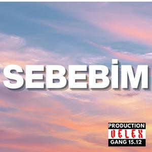 SEBEBİM