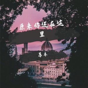 亲爱的旅人啊（翻自 周深）