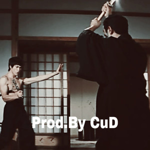 [Free Beat]-精武门Old School Type Beat