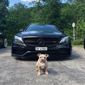 Oriental In Style (Original Mix)