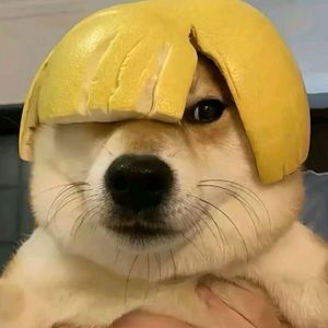 NPC的光