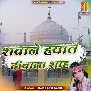 Shawane Hayat Deewana Shah, Vol. 2