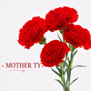 MOTHER TY