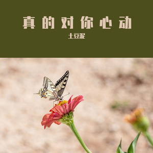 四北窝凸蔷椅悼和等访奖