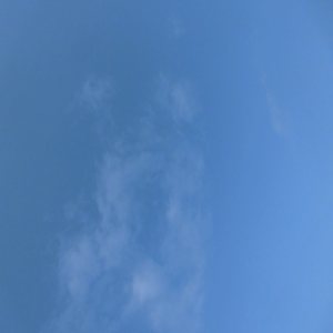 その呼び方