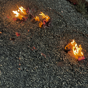 无病呻吟（Prod EVOMUSIC）