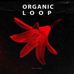 Integrity (Original Mix)