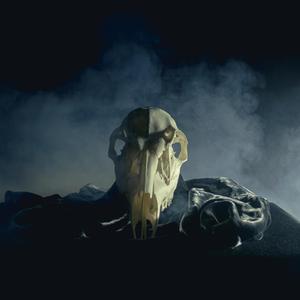 Some Things Never Change