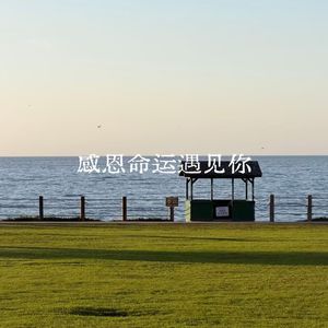 感恩命运遇见你