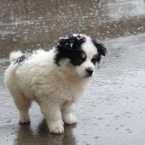 他的新的奔流的公路