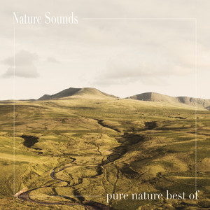 Simple Nature Sounds