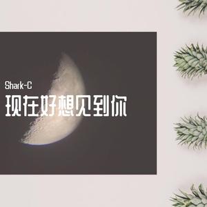 现在好想见到你
