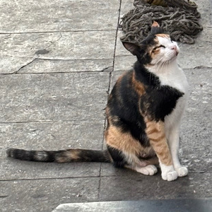 当你在晚自习后排啃鸡脚时期盼的是怎样的人生（Beat）