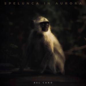 Spelunca in Aurora