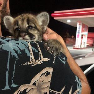 Bang Bang (XM Dj Andersen Remix)