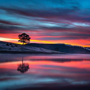 Seni Severdim (Yıldız Usmonova Cover)