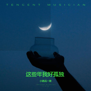 这些年我好孤独