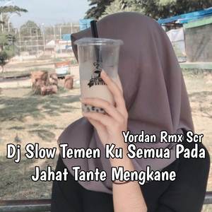 Dj Slow Temen Ku Semua Pada Jahat Tante Mengkane