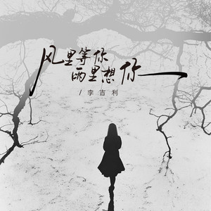 风里等你 雨里想你 (DJ豪大大版伴奏)