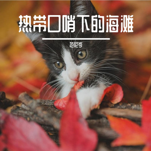 热带口哨下的海滩