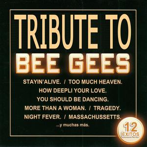Massachussetts (tribute version)