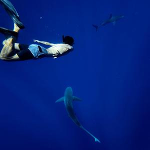 How can you miss somebody you never really knew?!