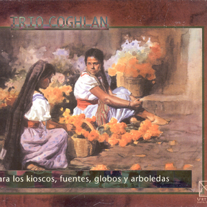 String Trio: I. Allegro non troppo espressivo