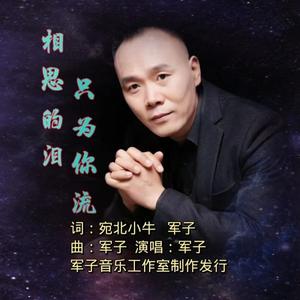 相思的泪只为你流