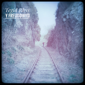 Y Freuddwyd