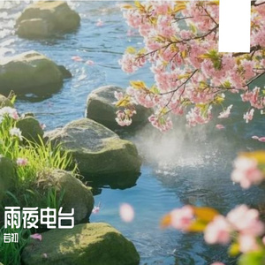 雨夜电台