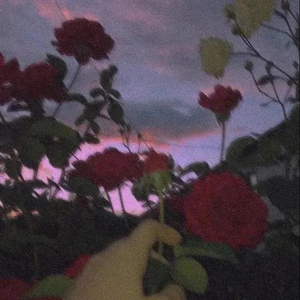 爱.wav