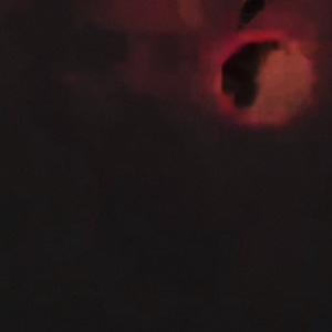 ヨッシー アイランド