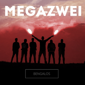 Kontraste (Akustik Version)