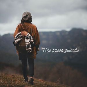 MIS PASOS GUIARÁS